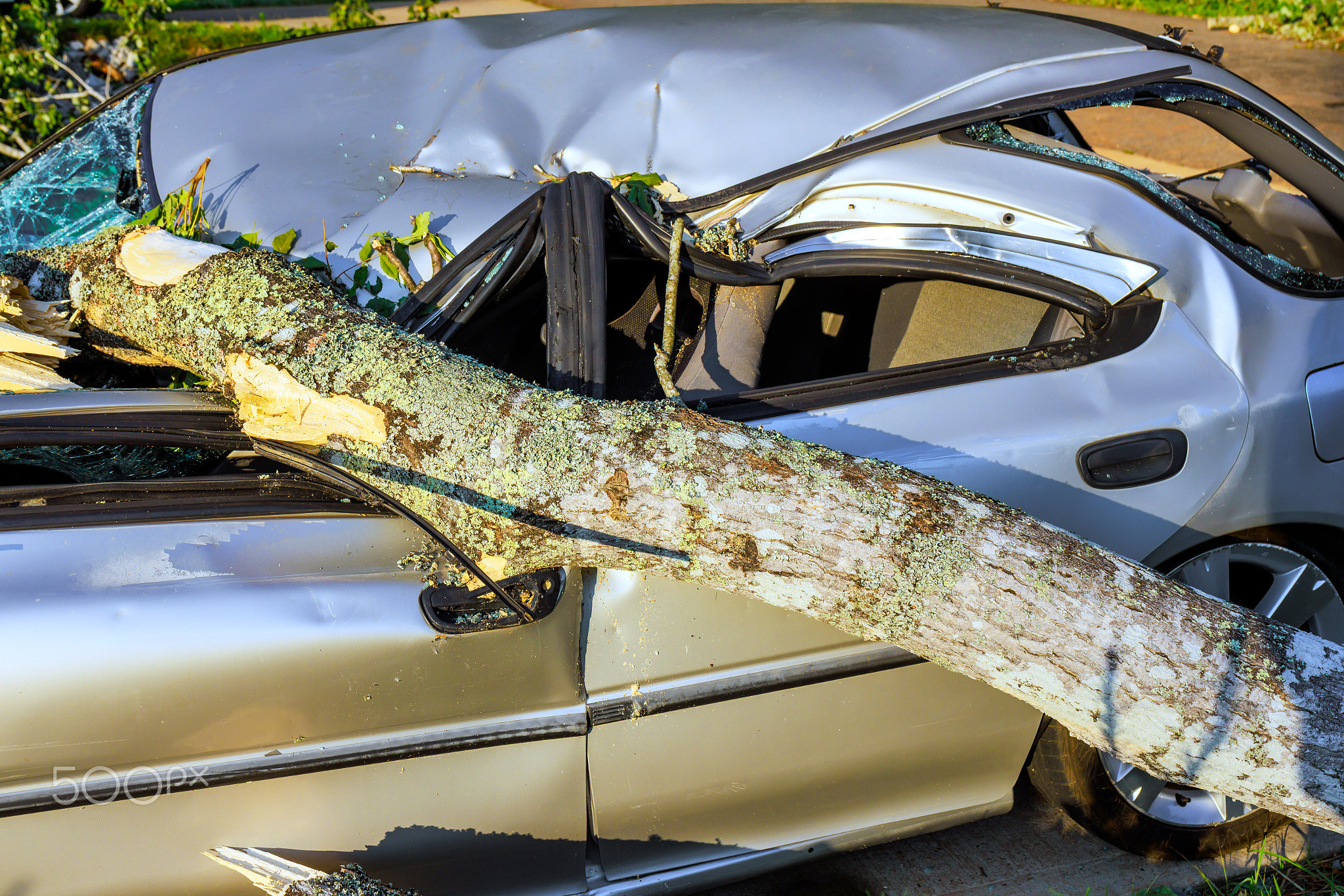 Tree falls on parked car causing damage in broken windshield