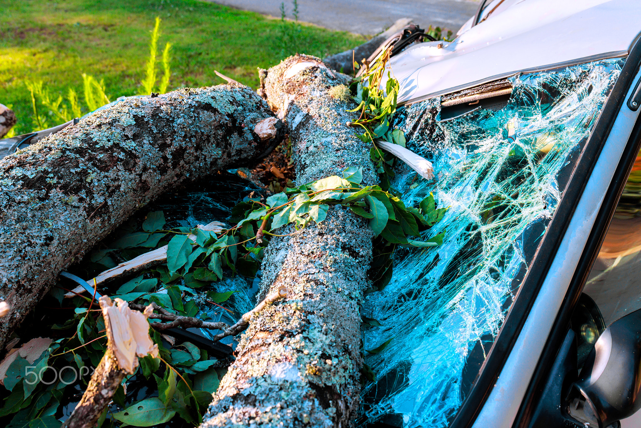 Large tree branches damaging parked car in residential area after