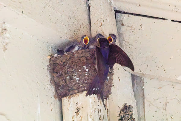 Kanamit by Paul Amyes on 500px.com