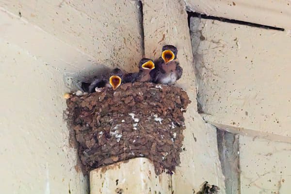 Kanamit by Paul Amyes on 500px.com