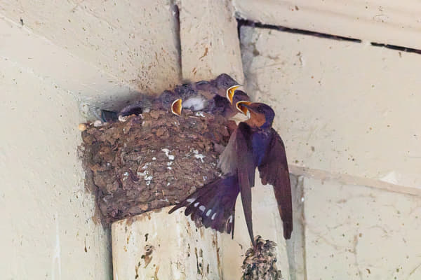 Kanamit by Paul Amyes on 500px.com