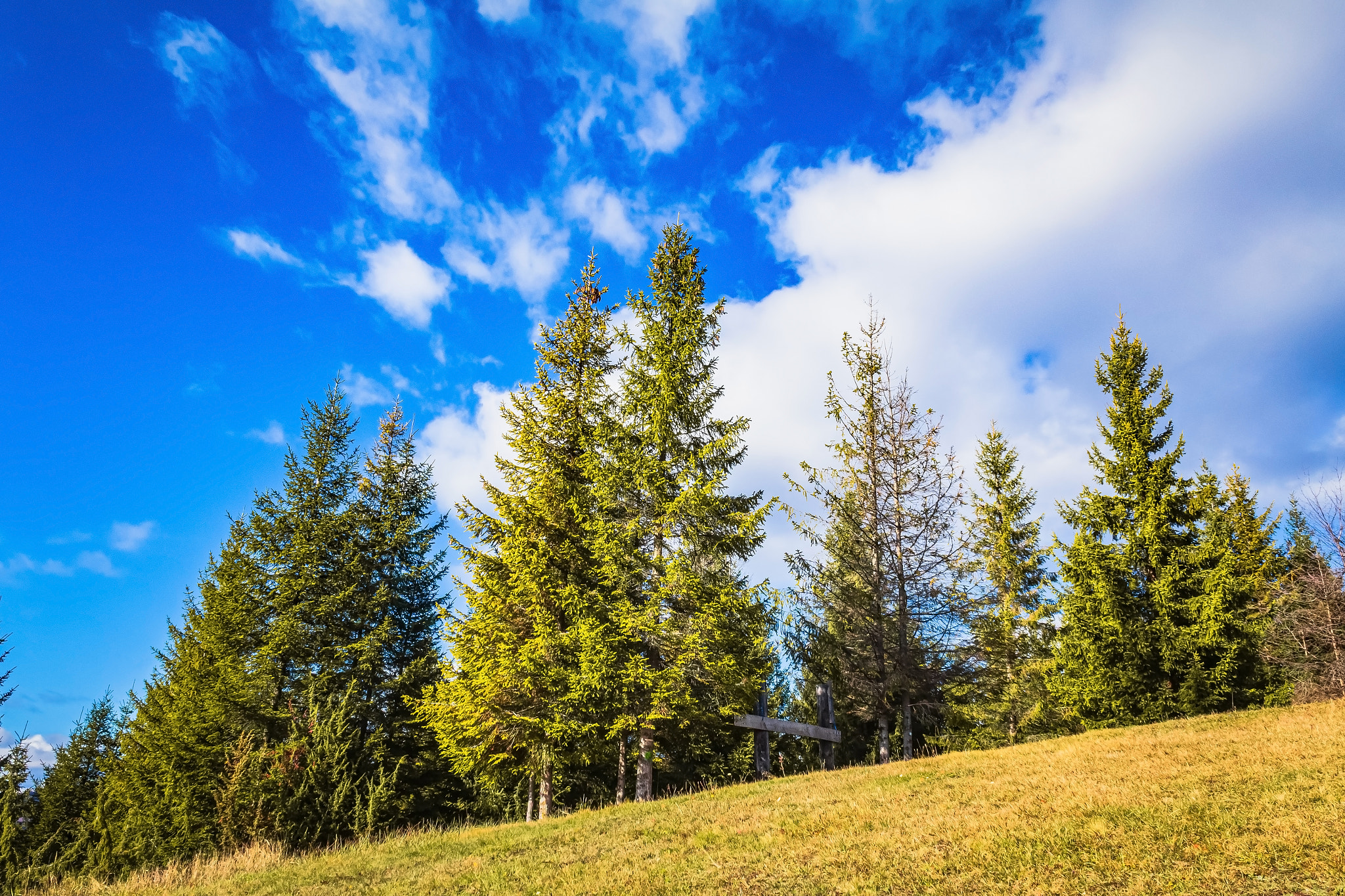 Landscapes, Forest, Carpathians, Photos of nature - Europe, Eastern Europe: Landscapes, Forest, Carpathians, Photos of nature - Eastern Europe