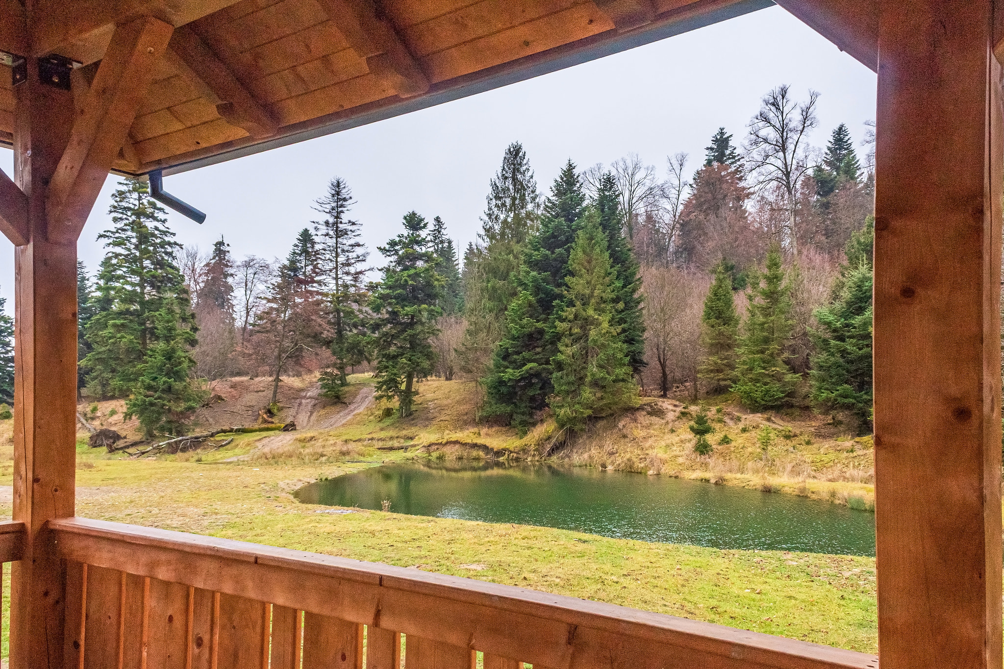 Landscapes, Forest, Carpathians, Photos of nature - Europe, Eastern Europe: Landscapes, Forest, Carpathians, Photos of nature - Eastern Europe