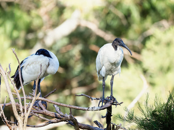 Ngalkaning by Paul Amyes on 500px.com