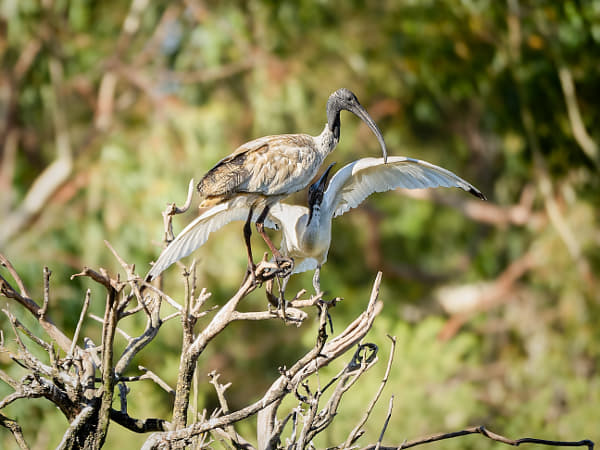 Ngalkaning by Paul Amyes on 500px.com