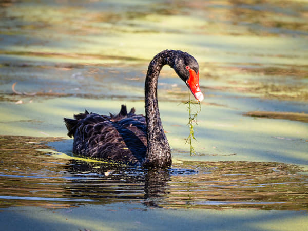 Maali by Paul Amyes on 500px.com