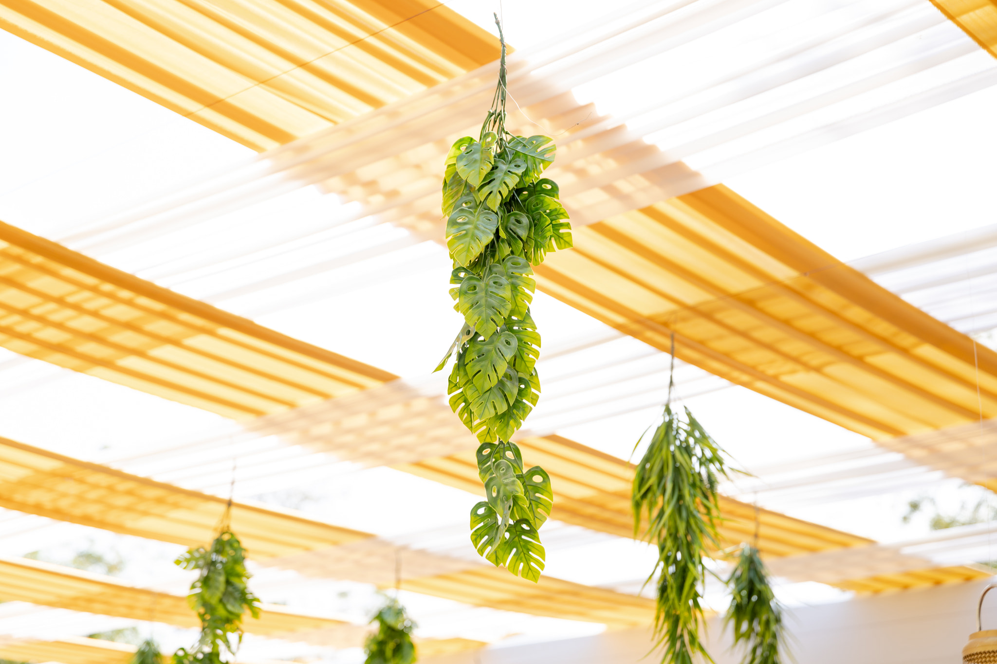 Sunlit elegance beneath greenery for a timeless wedding celebration