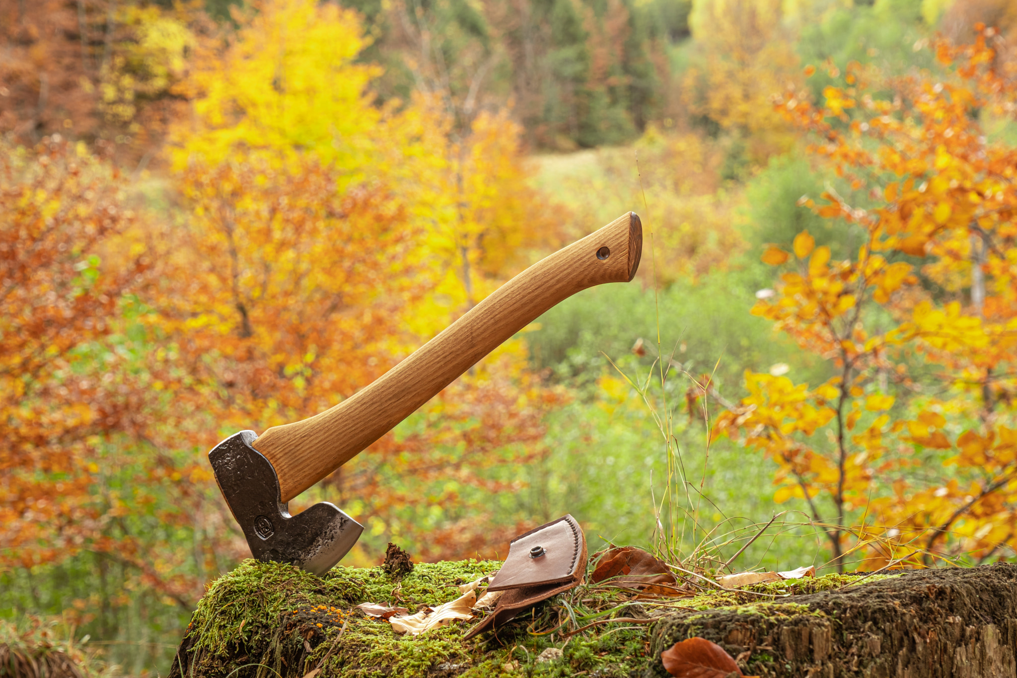 an axe stuck up in the tree stump