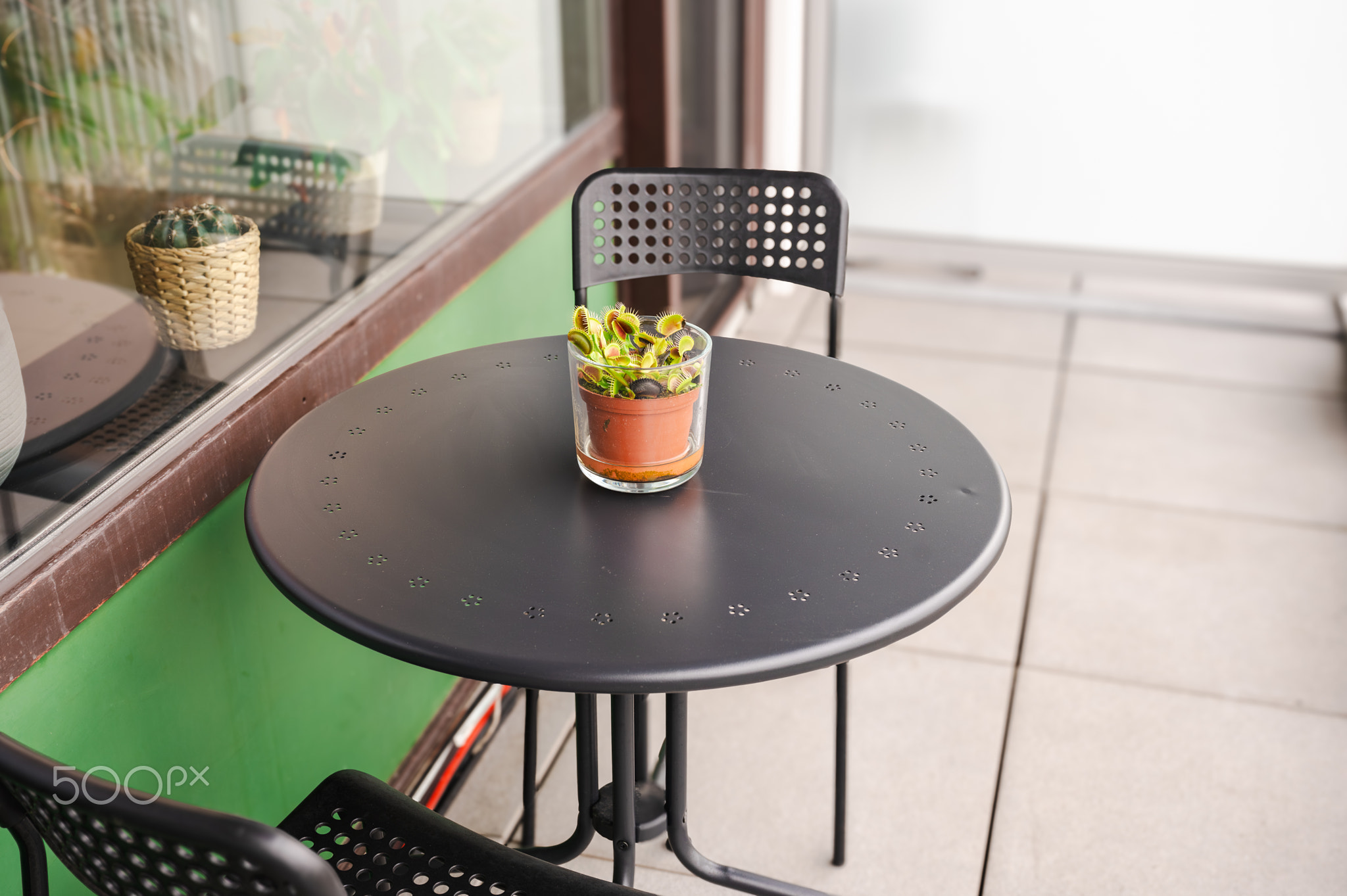 Green house plants on the balcony