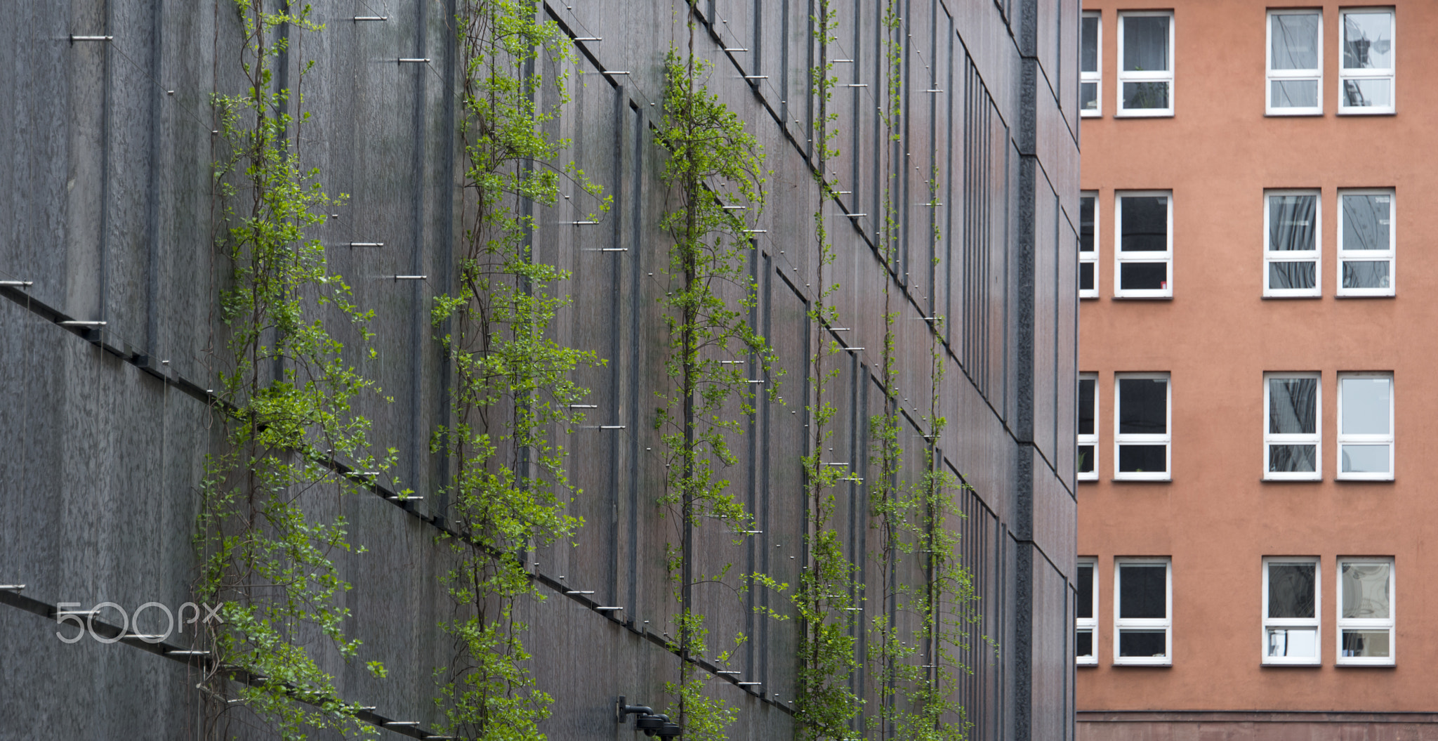 Connecting of the buildings
