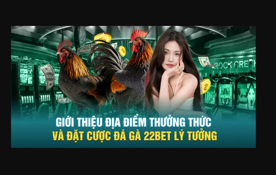 Vì Sao Nhiều Người Chọn 22bet?
