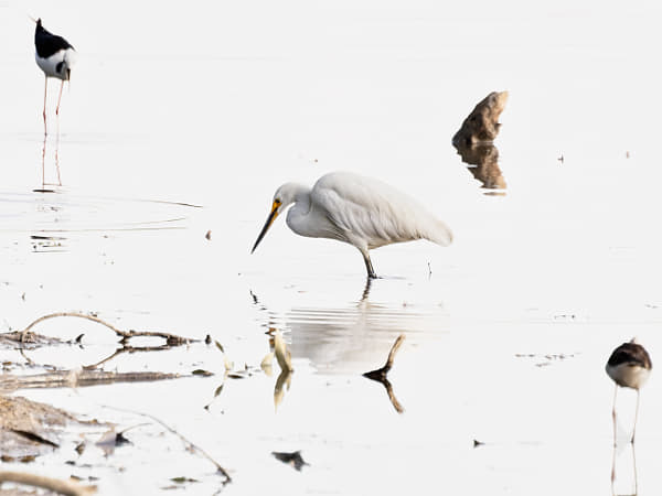 Bulland by Paul Amyes on 500px.com