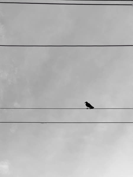 Austin by Melek Derman on 500px.com