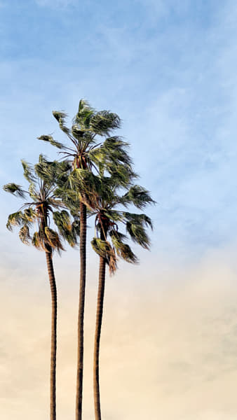 Stanford #1 by Melek Derman on 500px.com