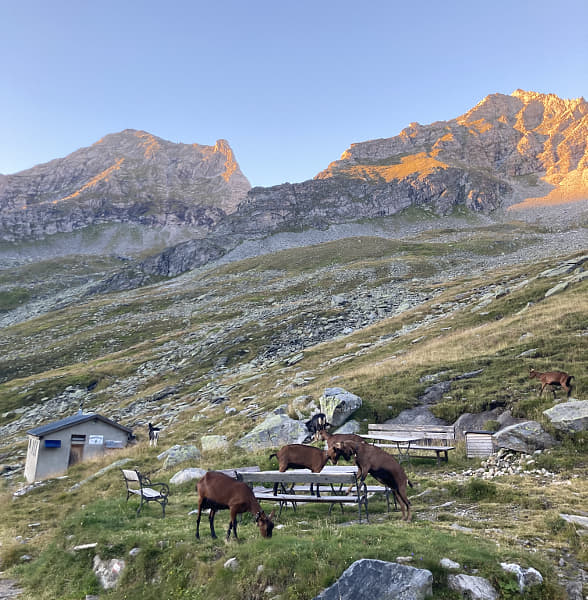 etiketti2 by Sunna Kokkonen on 500px.com