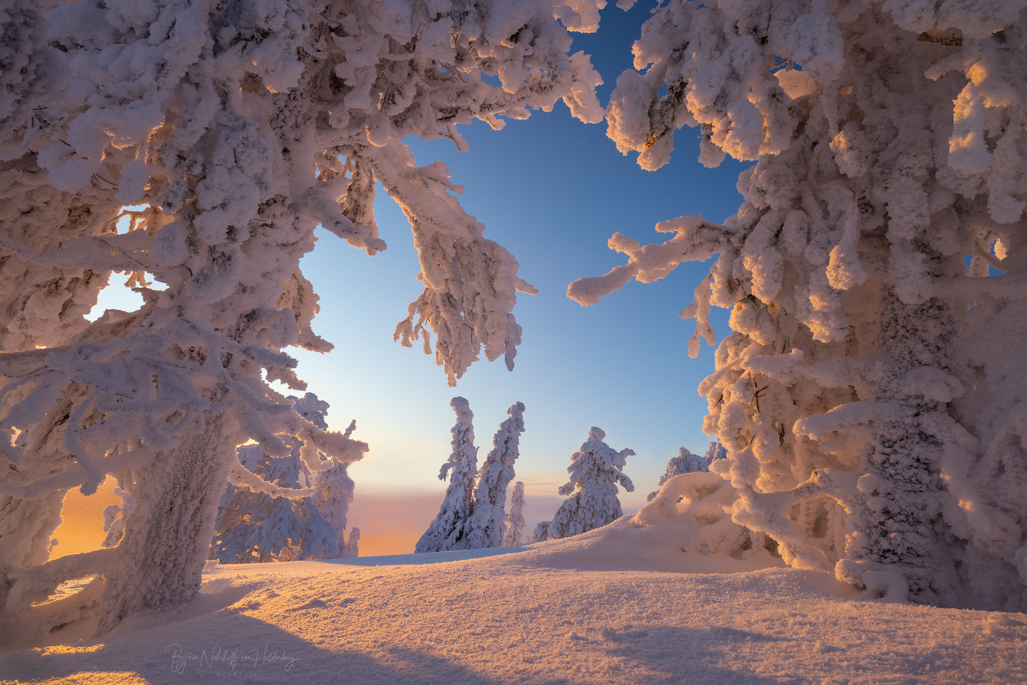 Snowy Archway Revealing Winter's Serene and Magical Embrace