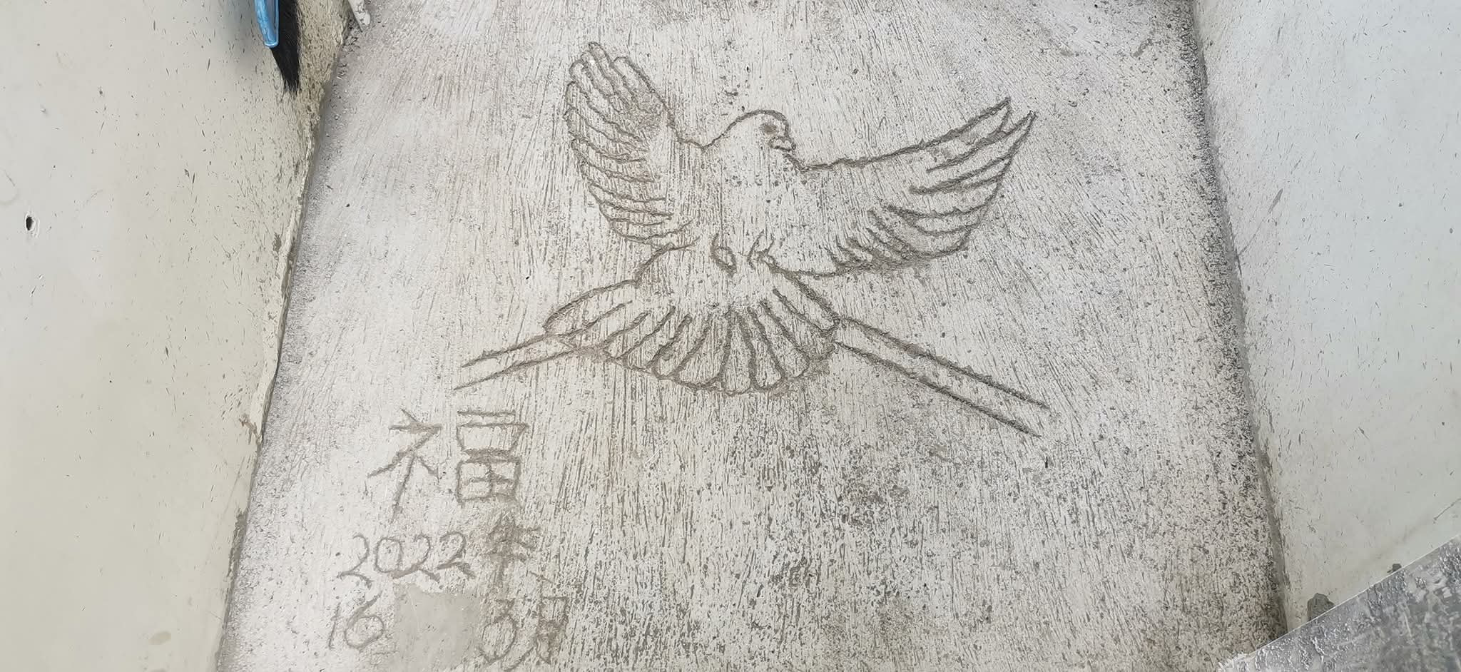 Dove Bird Floor Art Drawing Symbol of Peace