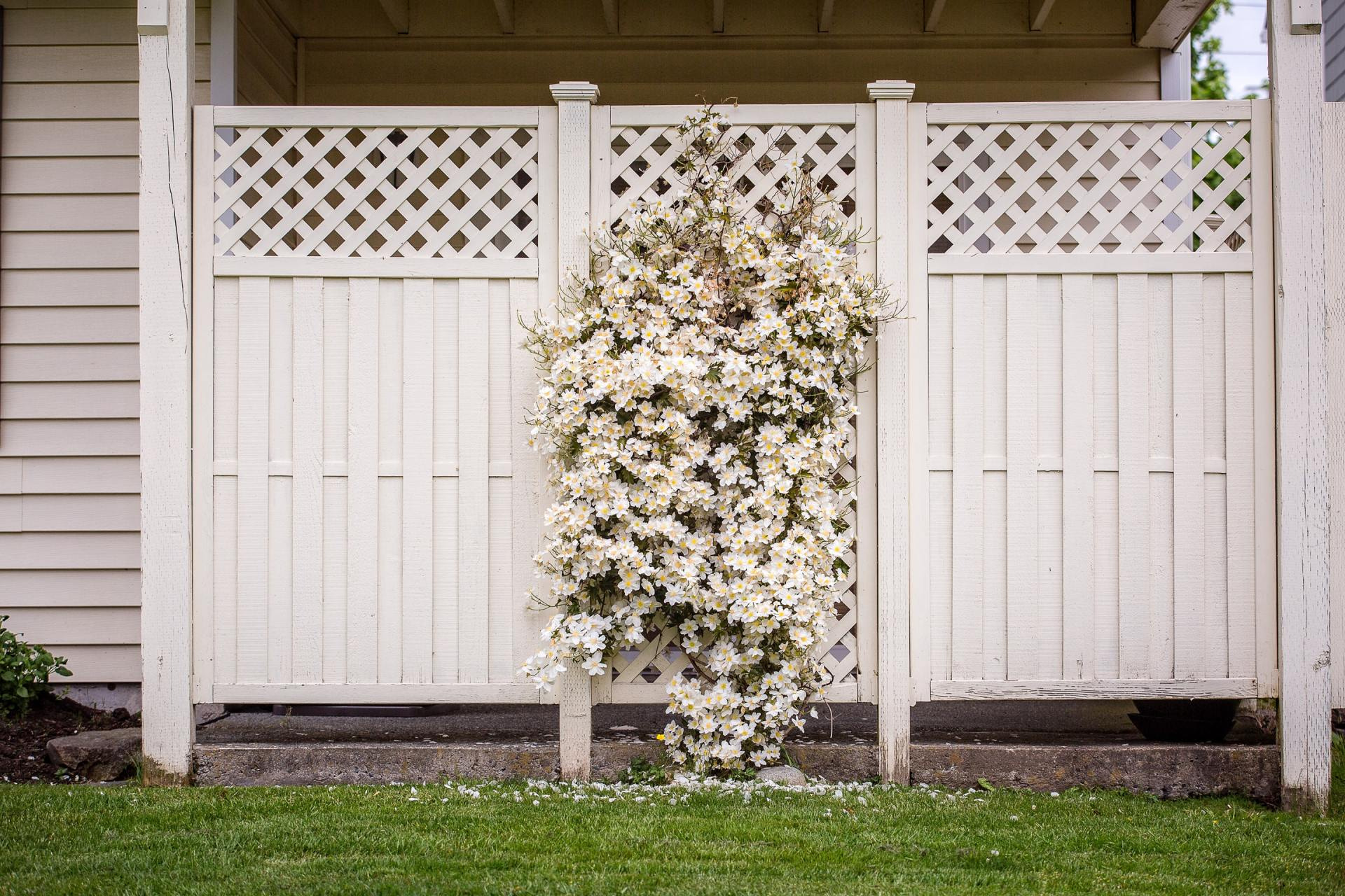 Professional Fence Cleaning Solutions in King of Prussia, PA