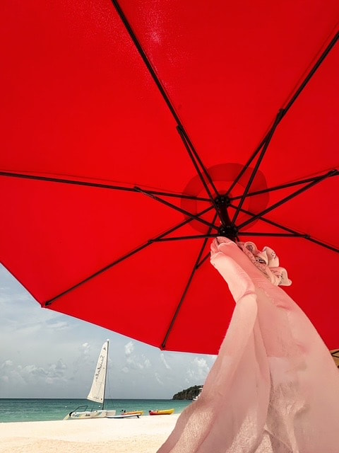 Blow in’ In The Wind