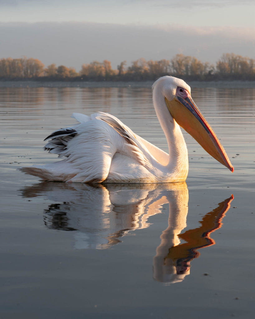 水墨山水by 老智| 500px