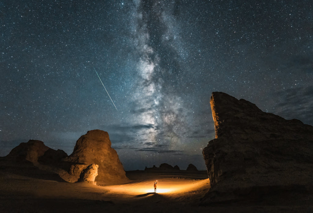 A monkey climbs around on a branch by Eugen Haag | 500px