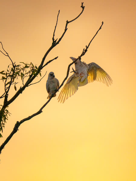 Playing Around by Paul Amyes on 500px.com