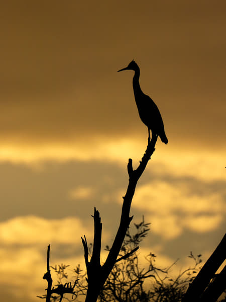 A New Morning by Paul Amyes on 500px.com