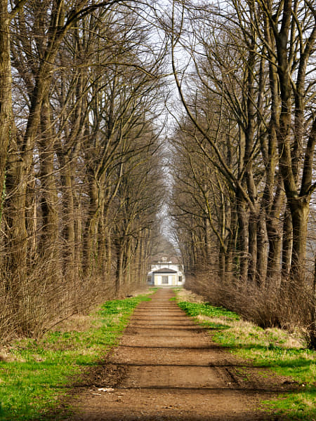 A path in the Monza park, Italy, at March by Claudio G. Colombo on 500px.com