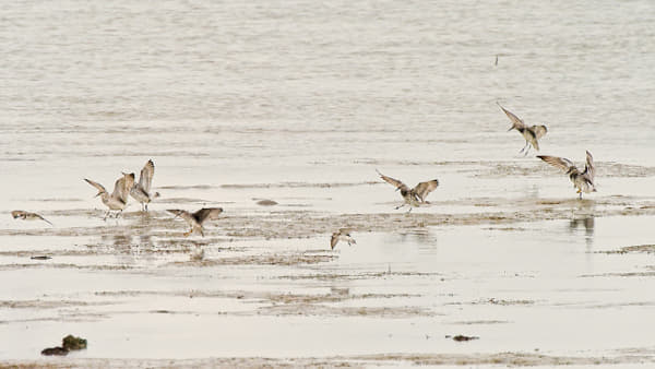 20260305-Broome-0328-Edit by Paul Amyes on 500px.com