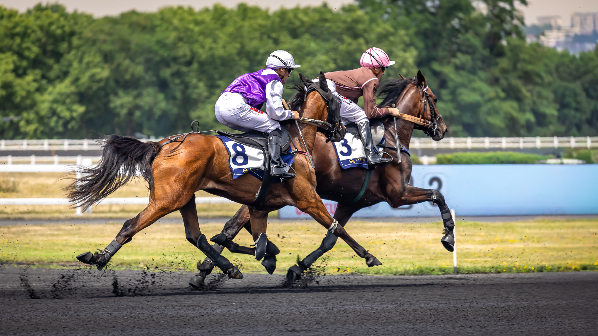 Competitive Spirit: Moments Before the Finish