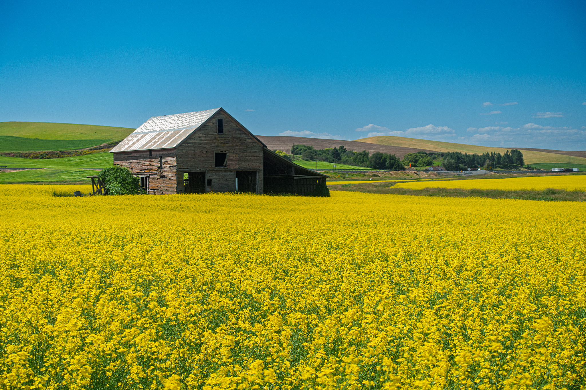 Rustic Barn Amidst Golden Fields Symbolizing Heritage and Abundance ...