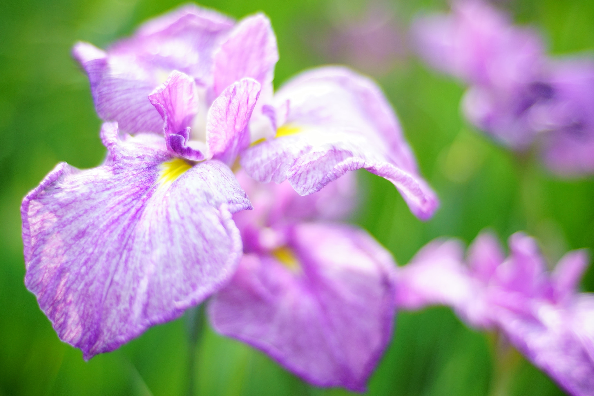 v2?sig=186d3388694644b6eb95777df999129b1eab1eb1e1cde6055467e8ef8d4c2e07