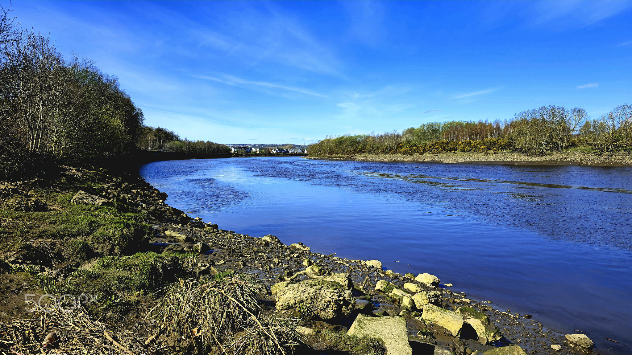 Spring Morning At River Tyne 