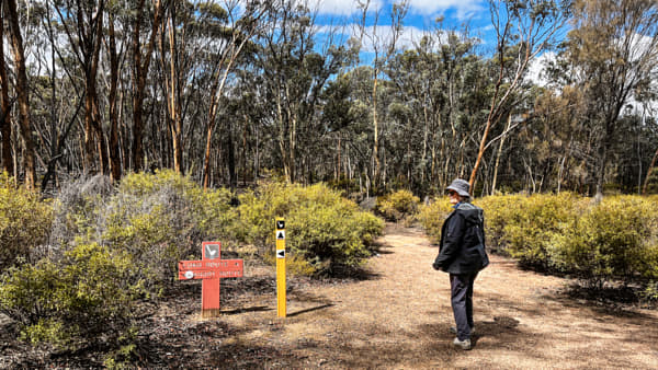 Wandoo Walk by Paul Amyes on 500px.com