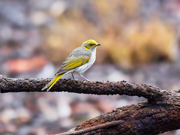 Miyamit by Paul Amyes on 500px.com