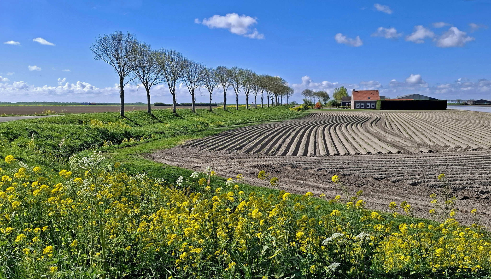 Rural Landscape Reveals Agricultural Promise and Natural Beauty ...