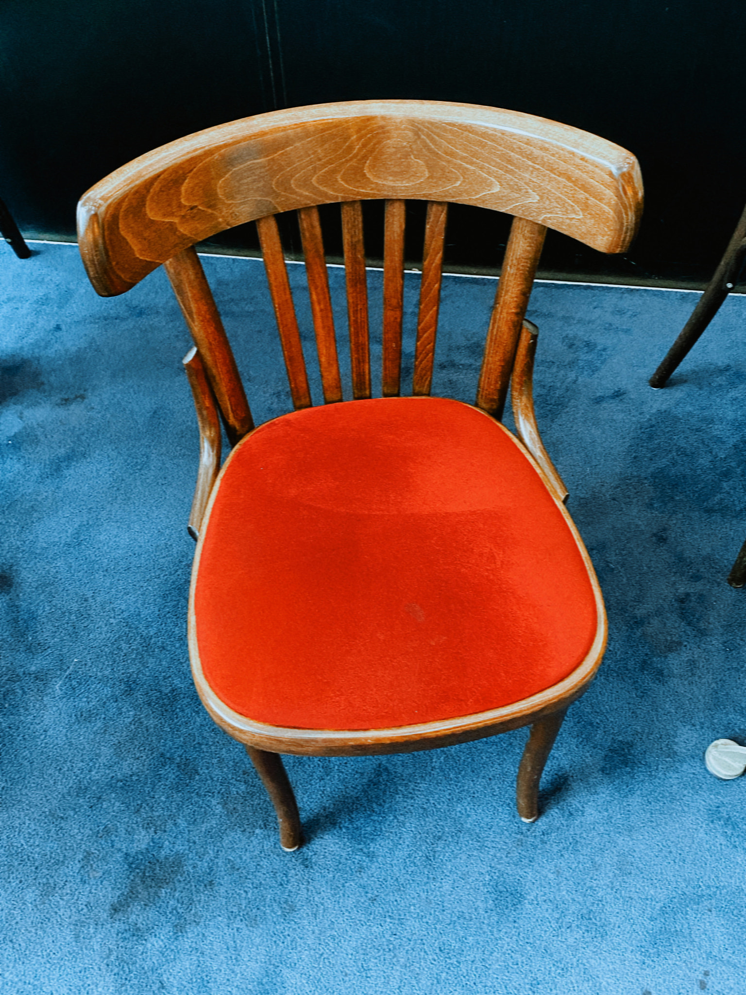 The Crimson Solitude: A Cinematic Stillness in Wood