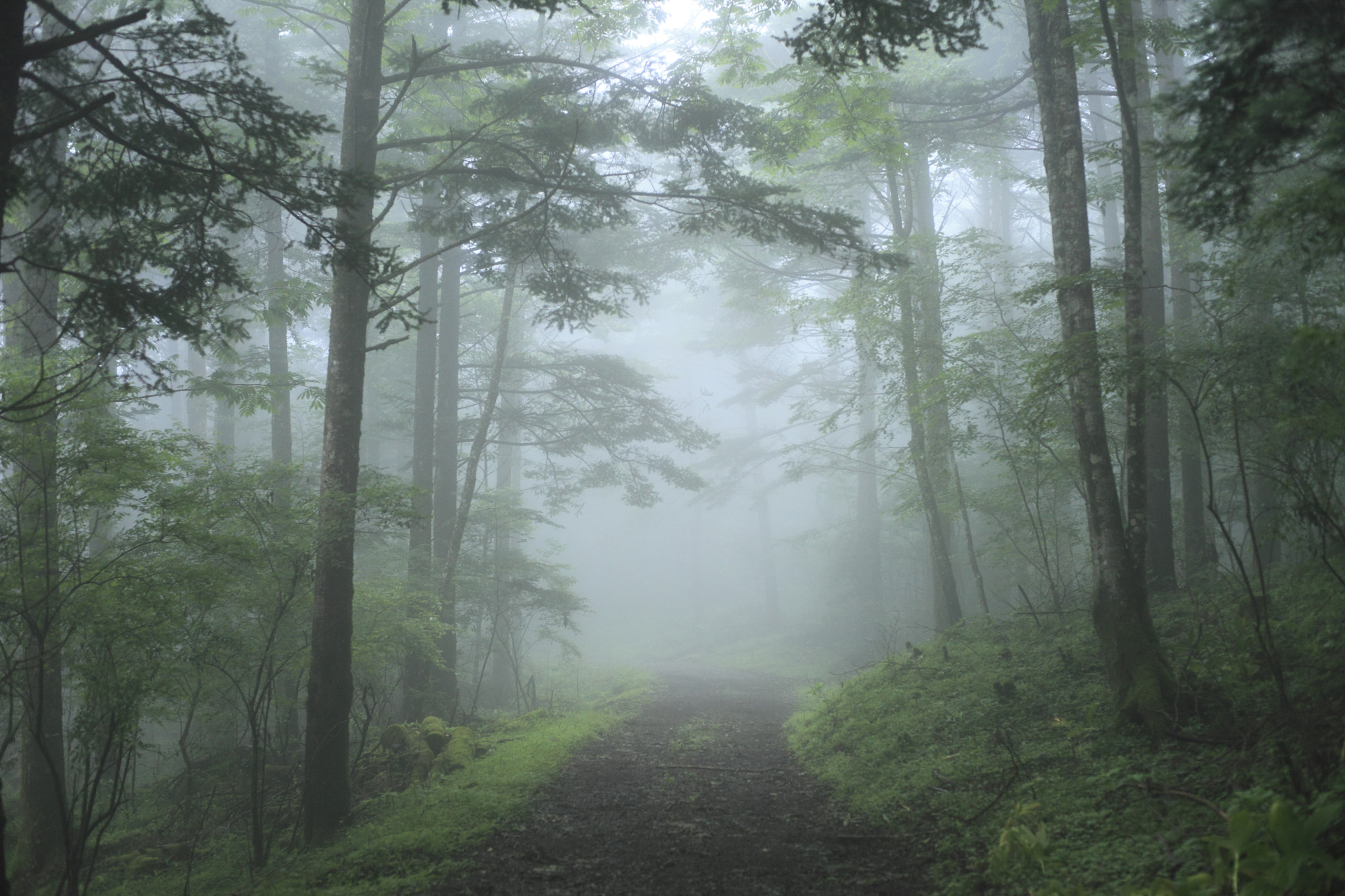 v2?sig=79ca74bd99fe5995a024cf7ddcdc9a991