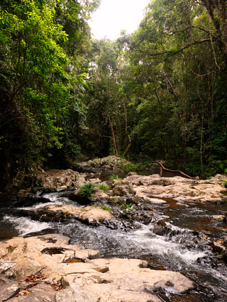 Waking Around Kuranda by Paul Amyes on 500px.com