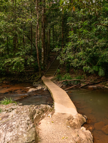 Waking Around Kuranda by Paul Amyes on 500px.com