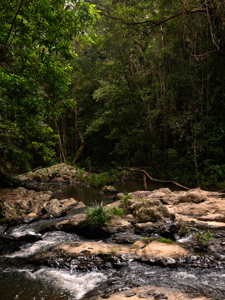 Waking Around Kuranda by Paul Amyes on 500px.com