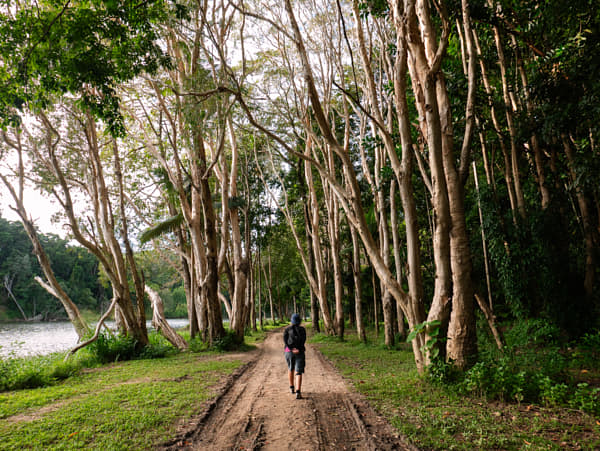 Waking Around Kuranda by Paul Amyes on 500px.com