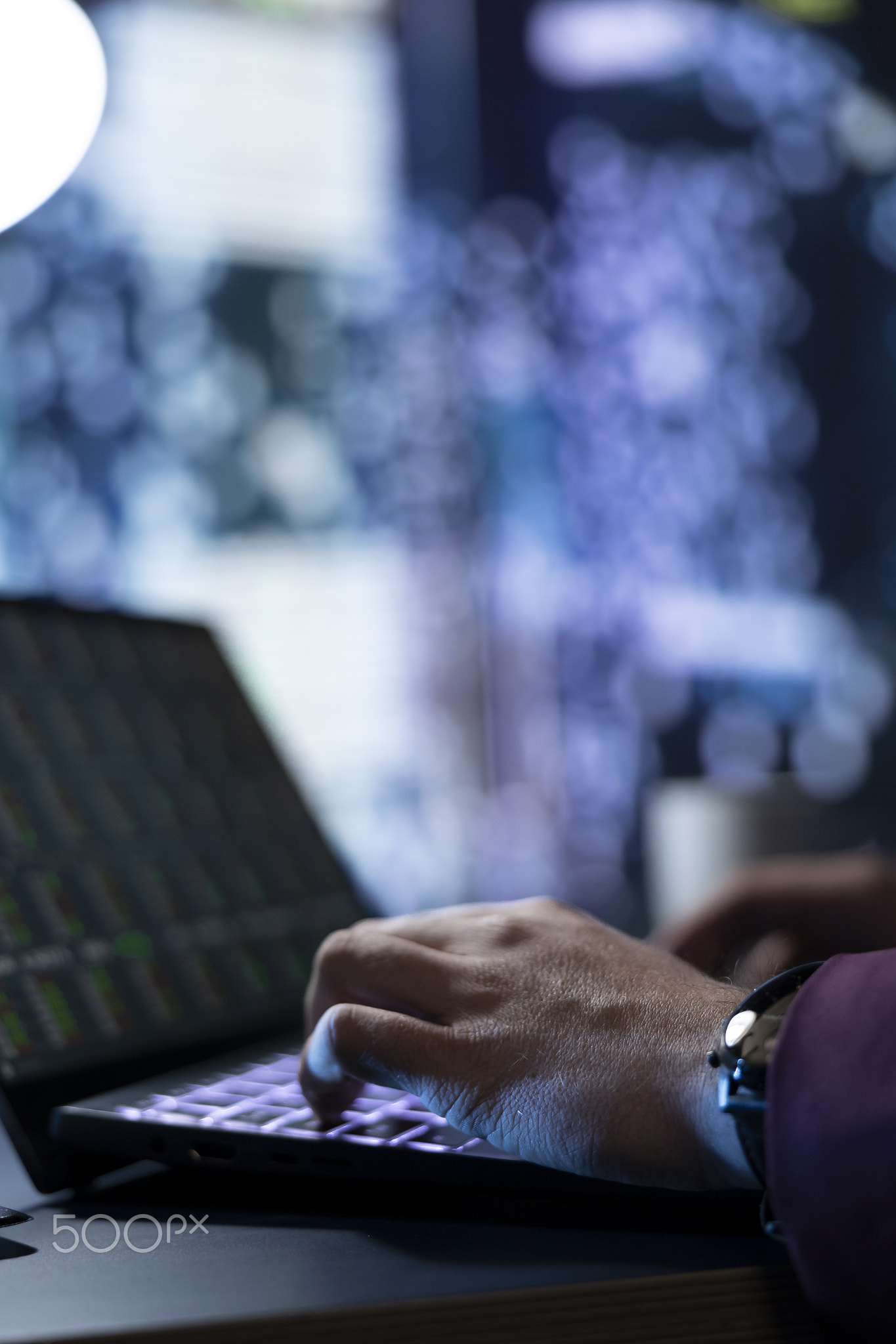 Analyst examines business records and financial resources