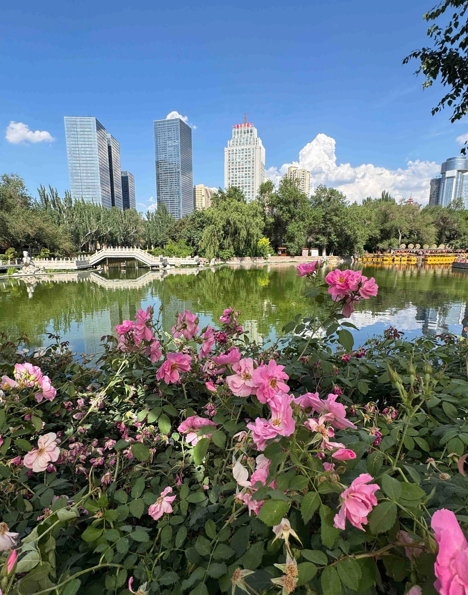 Scenic view of lake by buildings against sky