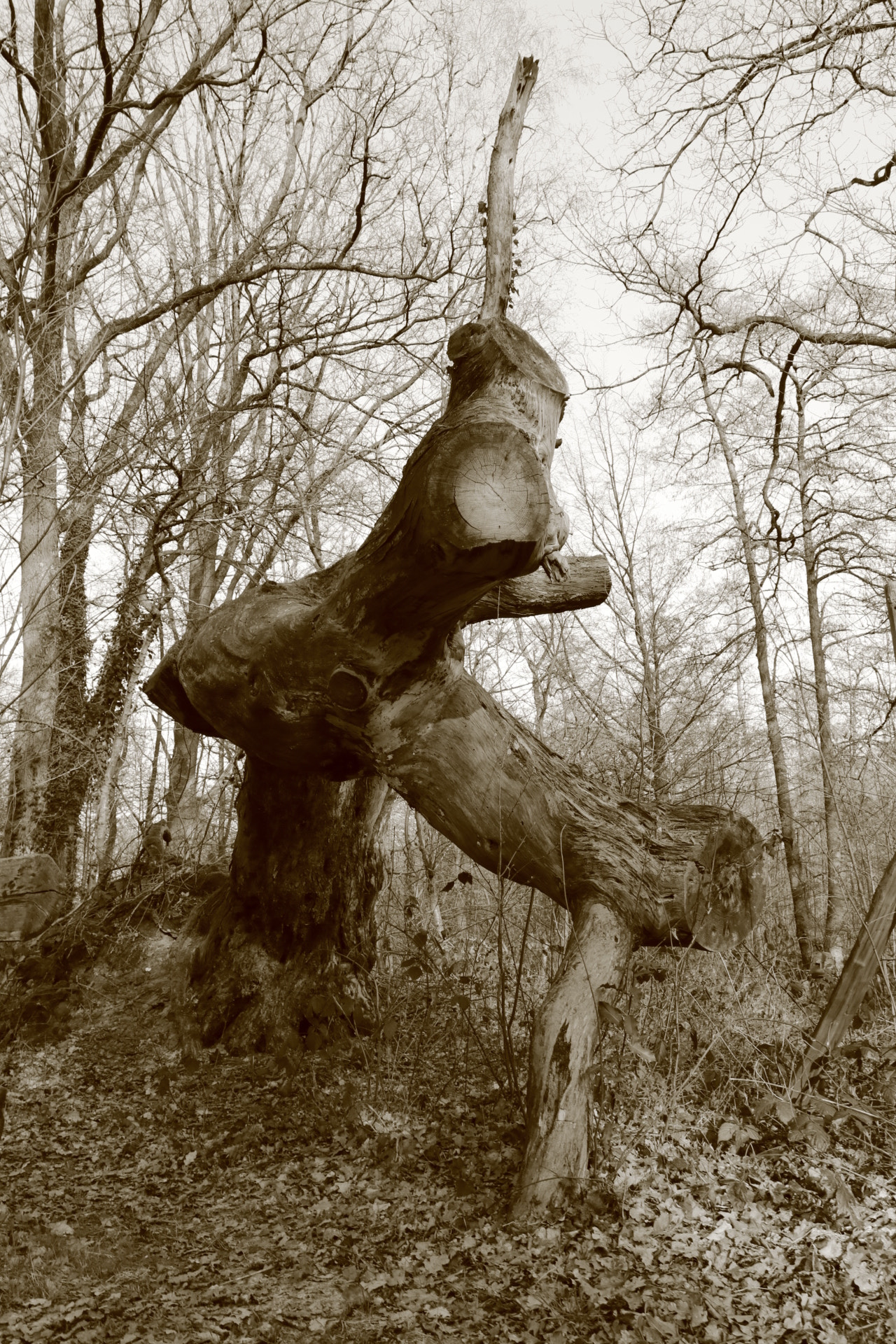a falen giant