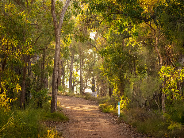 Lake Leschenaultia by Paul Amyes on 500px.com