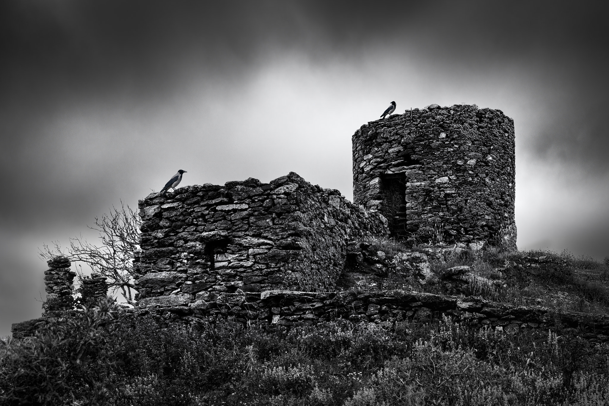 Ancient Ruins Under Stormy Sky Evoking History and Enduring