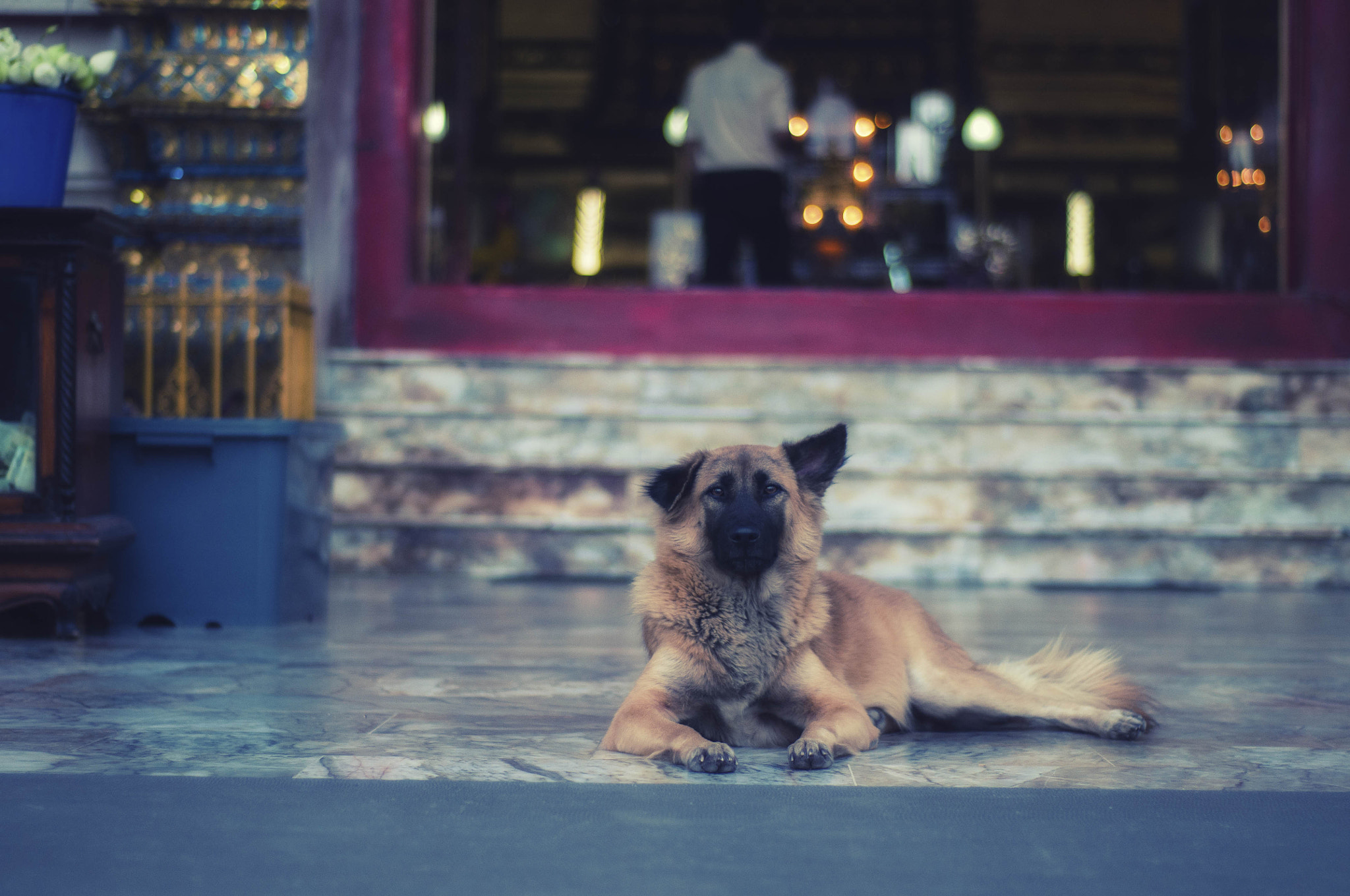 v2?sig=e0a4dbd72b70696b3a1d70c60a9ee88fb9444b47c32ad0196695d085529eb1cb