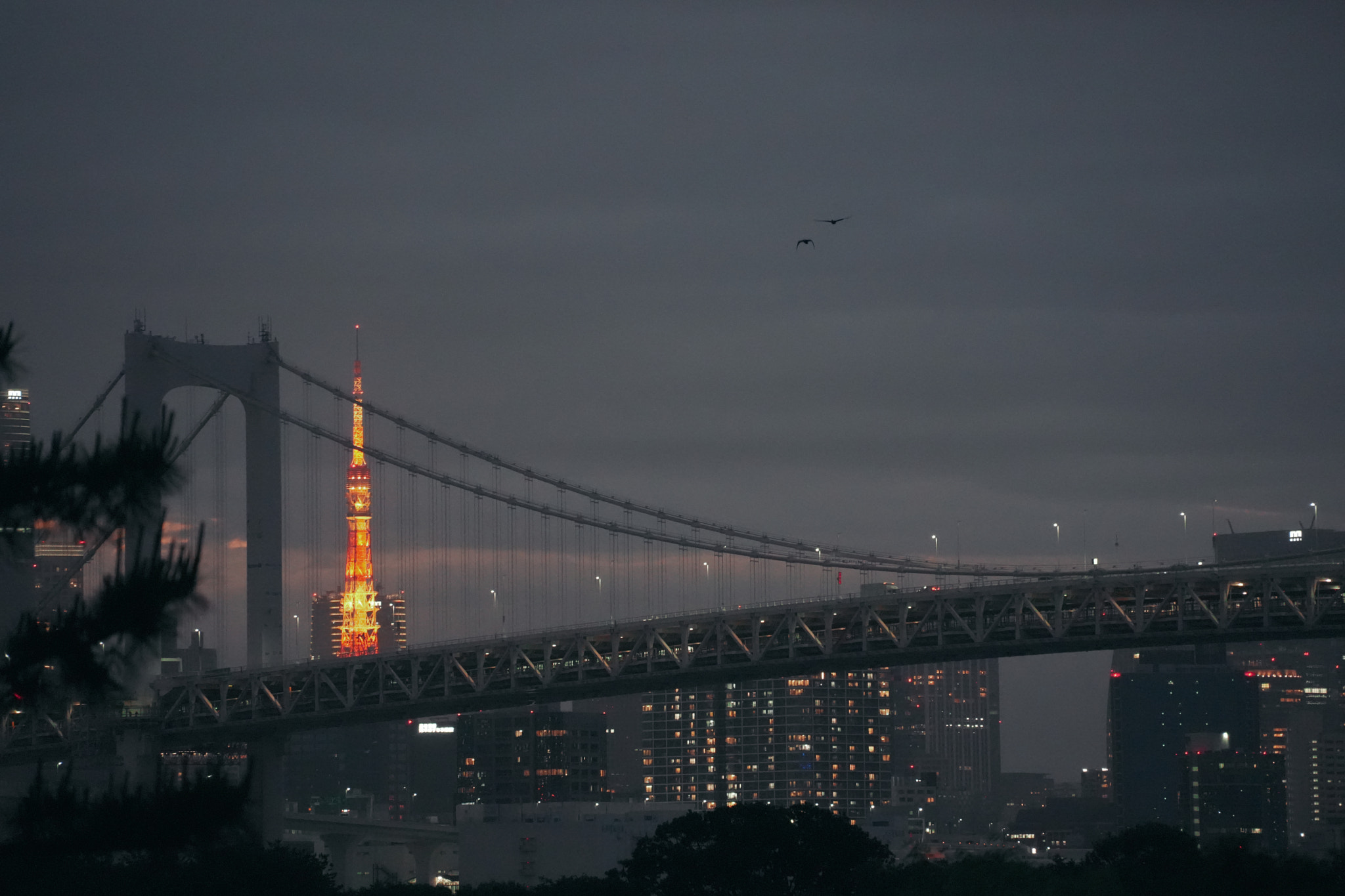 Rainbow Bridge & Tokyo Tower by Wenrui Xu on 500px.com