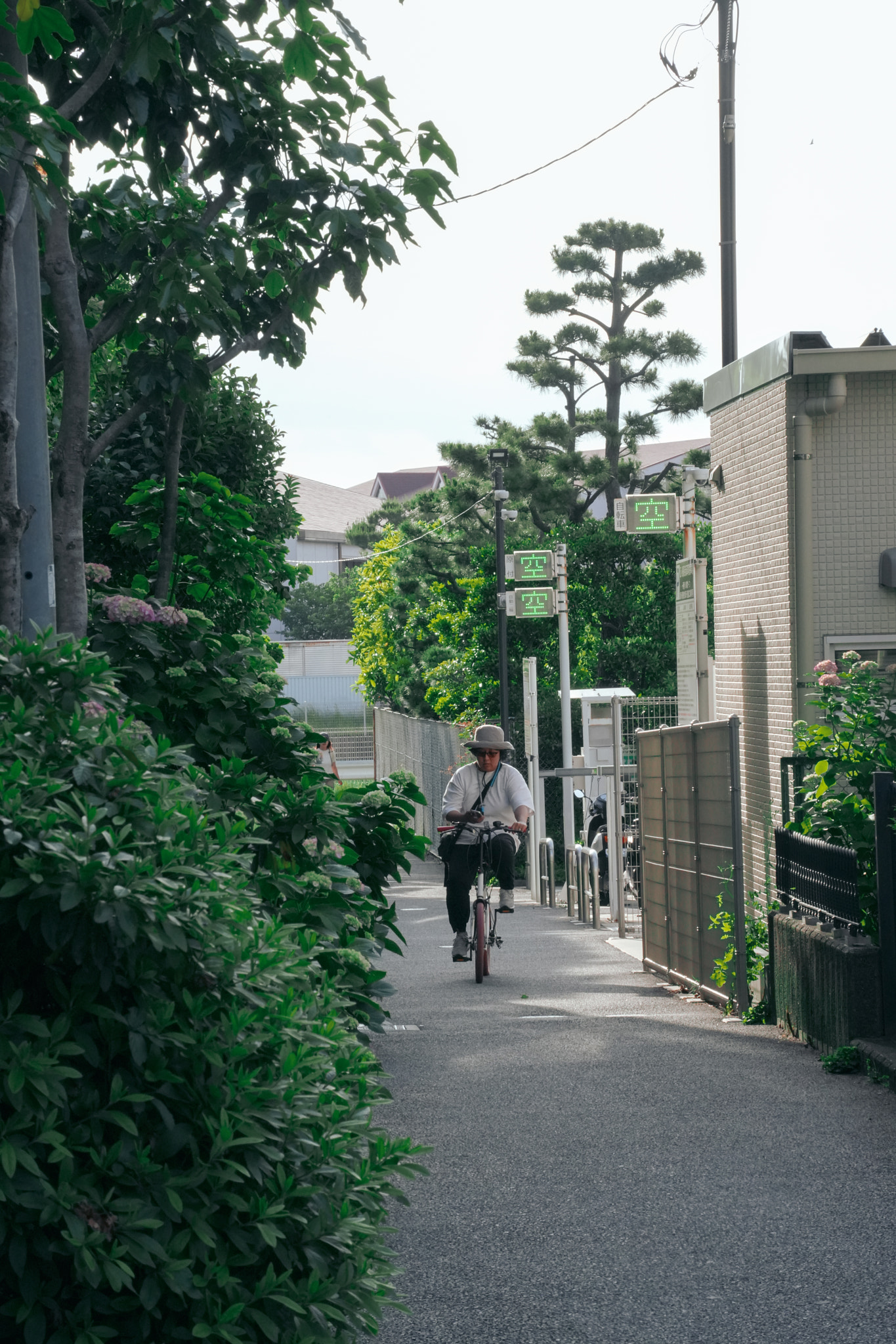 Kamakura, Japan by Wenrui Xu on 500px.com